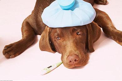 美女动作游戏《星刃》新情报 PS5主机独占没有多人模式